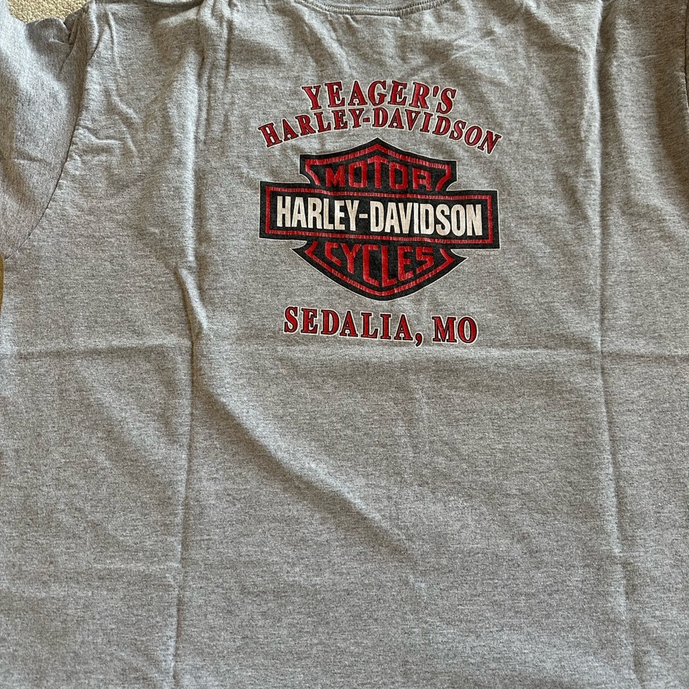 Harley-Davidson Men’s Classic Gray Tee